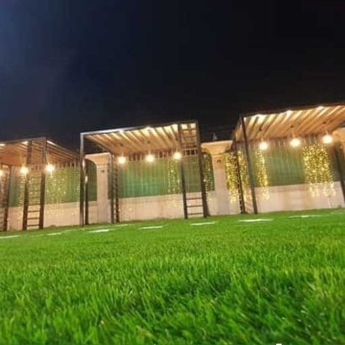 عشب صناعي (1)