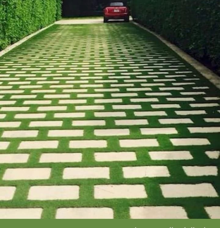 عشب صناعي (16)