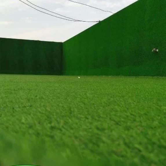 عشب صناعي (3)