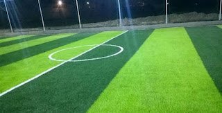 عشب صناعي (4)