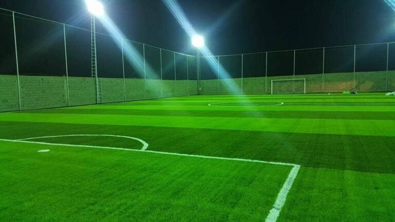 عشب صناعي (5)