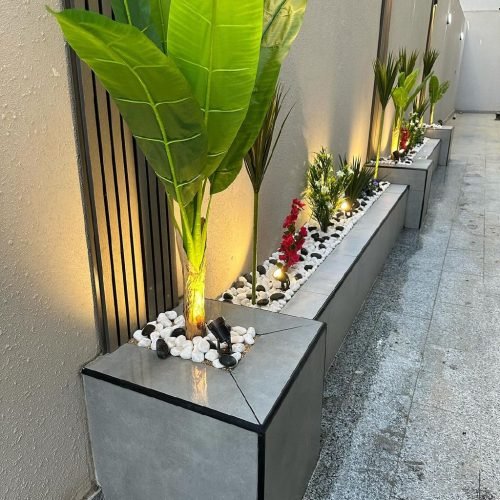 احواض زرع طبيعي (10) احواض زرع طبيعي (10)